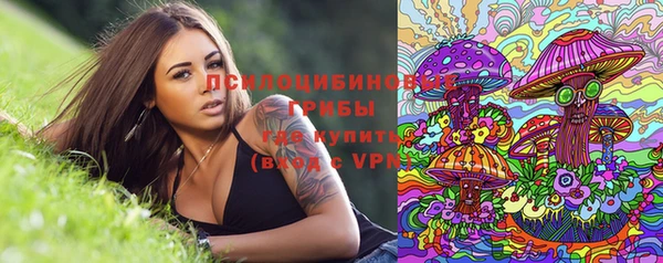 крисы Тавда